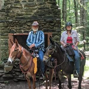 Meet your Posher, Carol